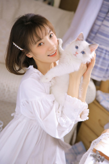 都是千年的狐狸